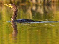 08-14-07-Selbys Landing-3512