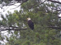 06-29-13-St Marys Lake-1459