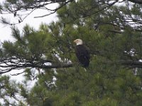 06-29-13-St Marys Lake-1460