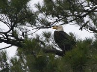 06-29-13-St Marys Lake-1463