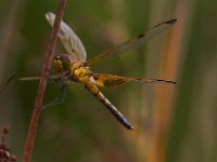 06-29-13-St Marys Lake-1552