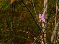 06-29-13-St Marys Lake-1562